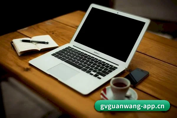 GV官网 APP